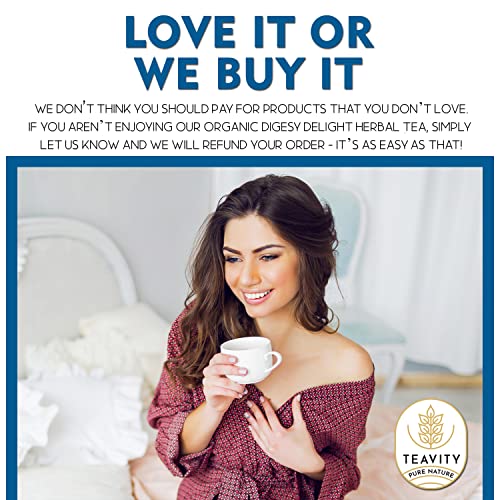 Organic Tea Pods with Ginger, Peppermint, Fennel, Licorice, & Rosehip Digest Delight by Teavity (24 Tea Pods)