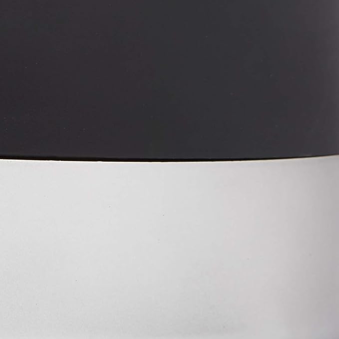 FIZZICS - DraftPour Beer Dispenser - Converts Any Can or Bottle Into a Nitro-Style Draft, Gift for Men and Beer Enthusiast, Beer Tap Draft Machine - Carbon (Pack of 4)