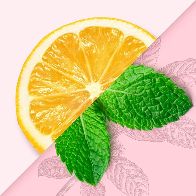 SIR INKWELL'S Adaptogen Yerba Mate Tea | Healthful Energy + Productivity 150 mg Organic Caffeine | 300mg Ashwagandha Reishi Ginseng | Non-GMO Certified | Meyer Lemon & Mint 16oz 12pk