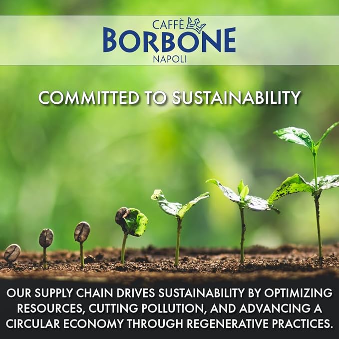 Caffe Borbone Aluminum Coffee Pods Compatible with Nespresso Original Machines, 100% Arabica, Medium Roast, Aromatic and Refined, Genuine Italian Coffee - NOT compatible with Vertuo - 100 Count