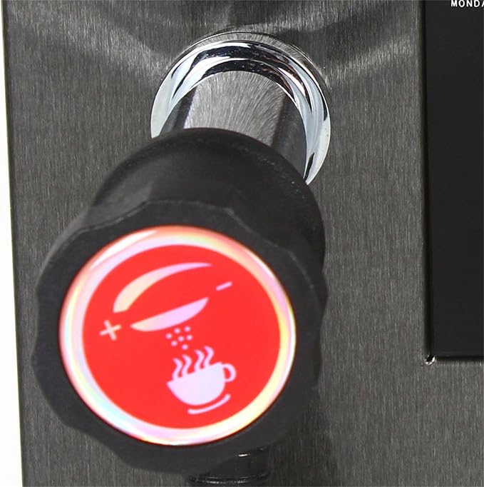 2500W Steam Water Boiling Machine, 12L Commercial Milk Frother Milk Foamer for Tea Restaurant Equipment, Bakery Equipment Multiple Functions 360° Water Valve Milk Foam Maker