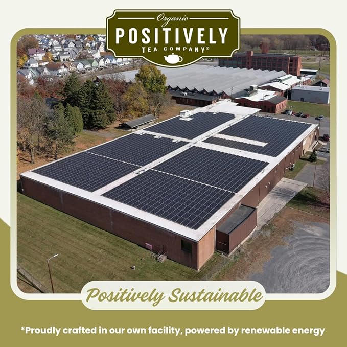 Organic Positively Tea Company, Minty Mate, Yerba Mate Tea Bags, 20 Count