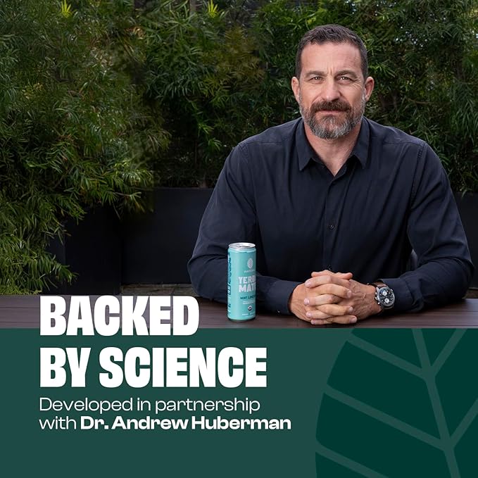 Mateina Yerba Mate Zero Sugar Energy Drink – 120mg Natural Caffeine – Organic, Non-GMO, Non-Carbonated – Dr. Andrew Huberman Recommended – 12 Pack (12oz Cans) (12 Pack, Mint Limeade)