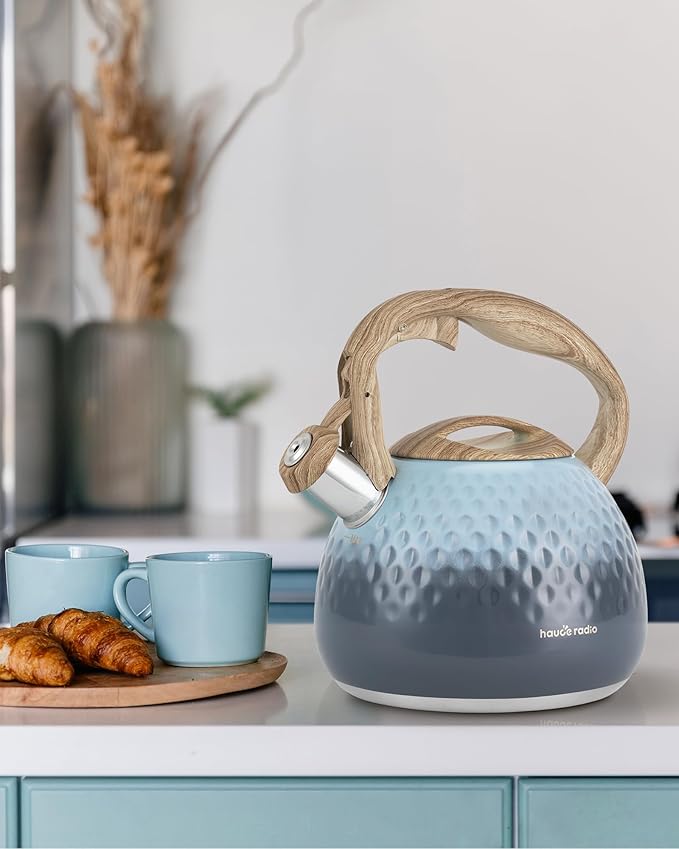 Tea Kettle, Loud Whistle Tea Kettles for Stovetop,Food Grade Stainless Steel Tea kettles for Stove Top with Anti-hot Ergonomic Handlefor Tea, Coffee, Milk,2.5QT