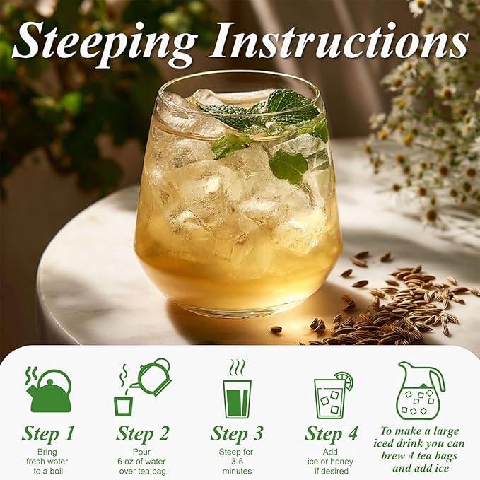 WT WEETEE Fennel Tea Bags 100 Count, 100% Natural & Pure Fennel Seeds Tea, Smooth & Sweet, No Sugar, Caffeine-Free