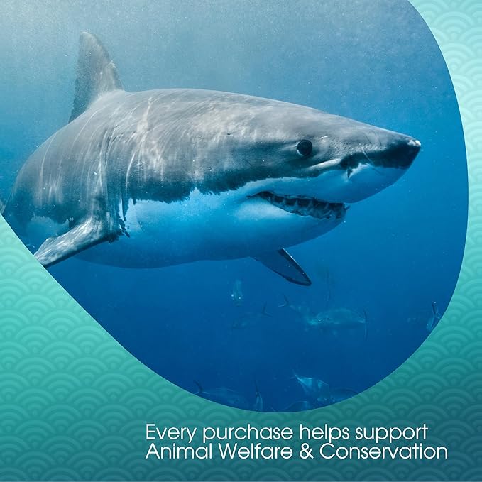 White Shark Chai Tea Latte Mix, 14 Oz, White Tea, Organic Spices, Dairy Free, Serve Hot or Cold, Just Add Water or Milk, 14 Servings