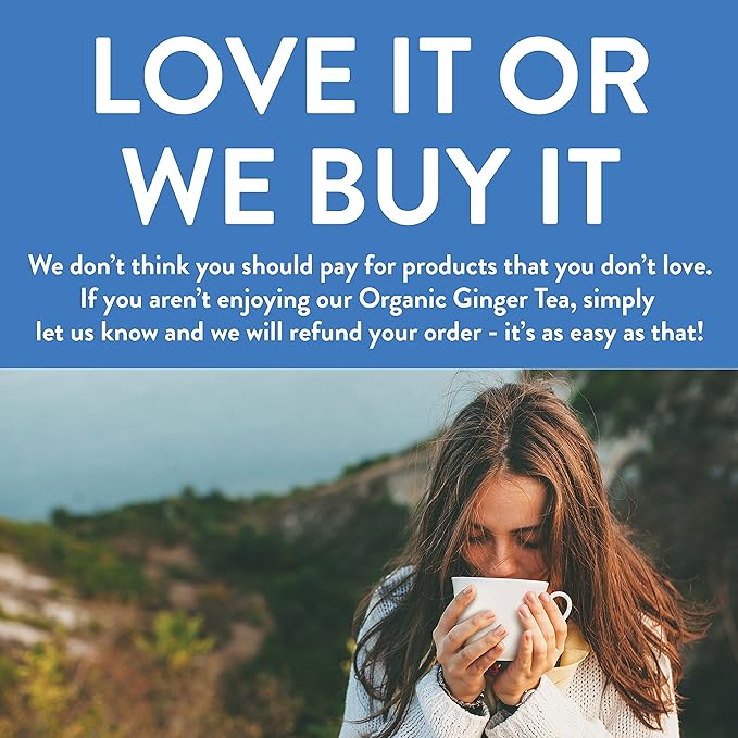 FGO Organic Ginger Tea, 20 Count, Eco-Conscious Tea Bags, Caffeine Free, Packaging May Vary (Pack of 1)