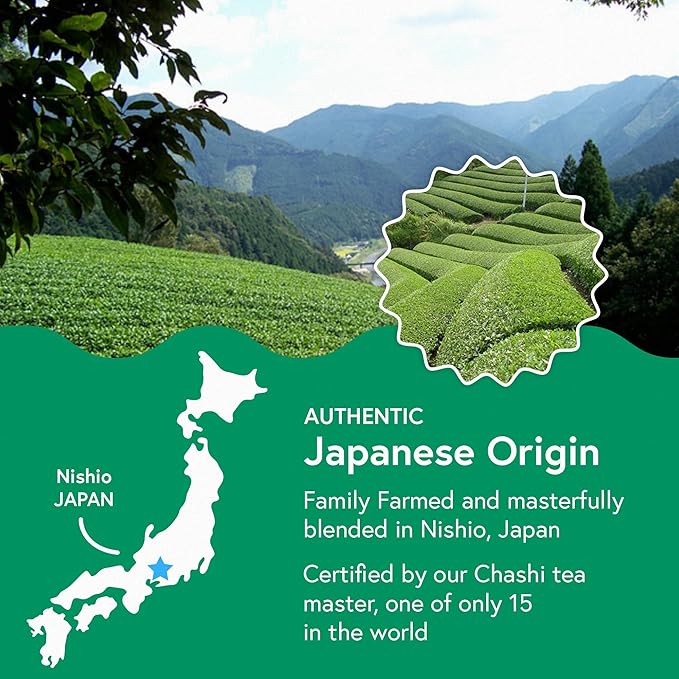 Electric Milk Frother Hand Blender - Stainless Steel Electric Matcha Whisk, Handheld Drink Mixer for Coffee, Greens & Protein - Easy to Clean USB Rechargeable, Dual Speed Immersion Blender