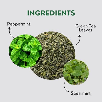 Tealeaf & Co. Mint Green Tea Bags Blended with Fresh Herbs - Spearmint & Peppermint Tea - Contains Low Caffeine - Gluten Free - 100 Teabags (7.055oz/200gm)