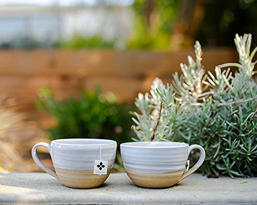 Art of Tea | Apricot Escape - Caffeine Free | 50 Eco Friendly Pyramid Tea Bag Sachets