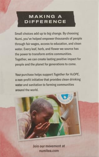 Numi Organic Rooibos Chai Tea, 18 Caffeine Free Herbal Bags, Microplastic Free, Rich Flavor with Cinnamon, Allspice & Ginger (Pack of 2)