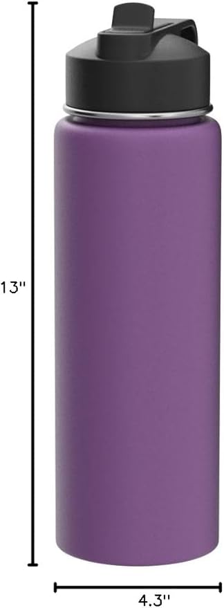 ThermoFlask 24 oz Double Wall Vacuum Insulated Stainless Steel Water Bottle with Spout and Straw Lids, Plum