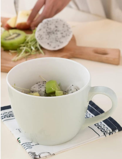 MECOWON 30 OZ Porcelain Coffee Mugs, Set of 2 Large Mugs for Soup, Cereal and Salad (Turquoise)