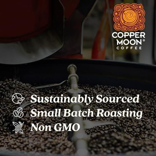 Copper Moon Cold Brew Ground Coffee Packs, Medium Roast, 4 filter pouches, 8 oz