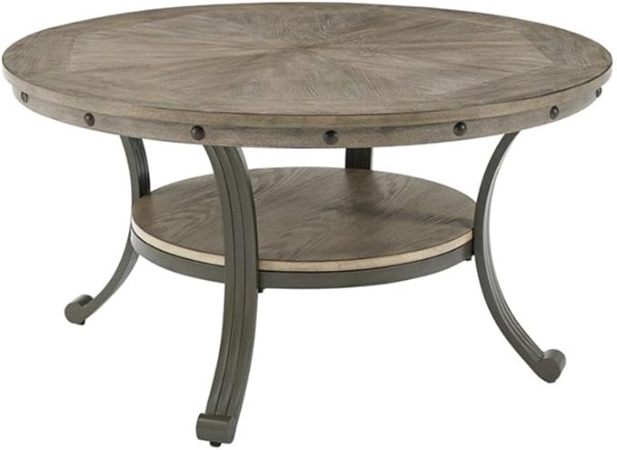 Pemberly Row Transitional Metal and Wood Round Coffee Table in Pewter