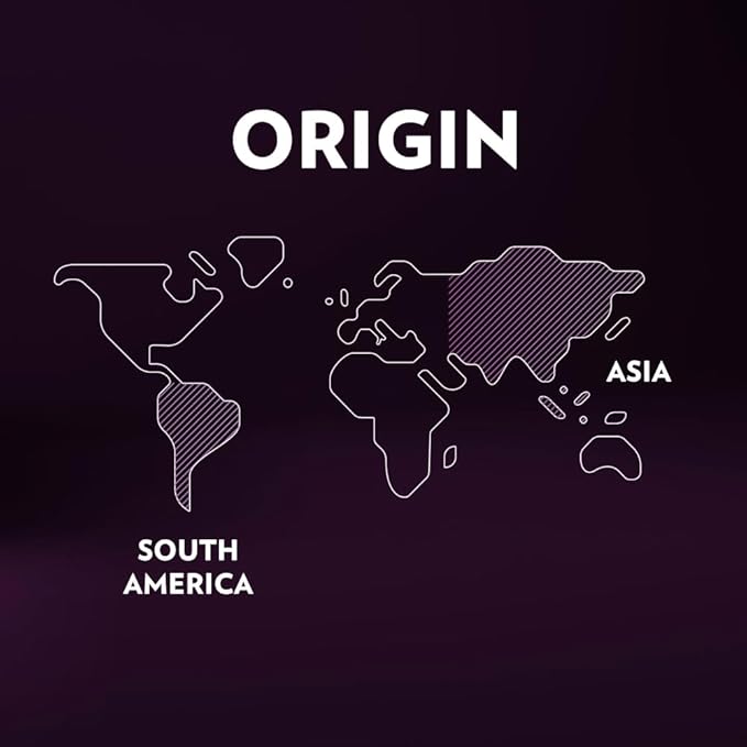 Lavazza Expert Espresso Intenso Double Shot Capsules, Dark Roast, Arabica and Robusta Blend, Compatible with Lavazza Classy Machines (36 Capsules)