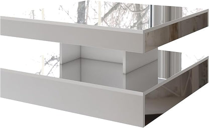 LED Coffee Table with Lights for Living Room Modern Mid Century Square Small Center Table with Storage Shelf Mirror Effect 2-Tier Apartment Office Bedroom Waiting Room Reception, Pet