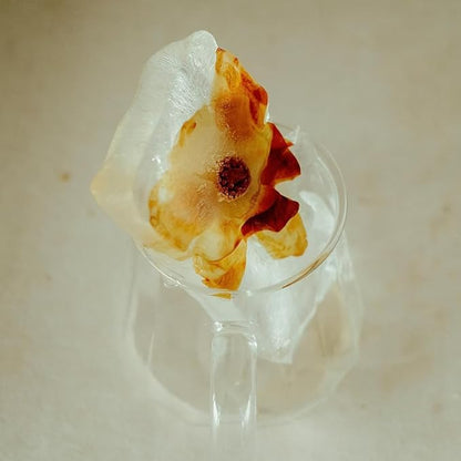 watchget Glass Coffee Carafe 600ml/20oz - Heat Resistant Borosilicate Coffee Server, Clear Pour Over Coffee Pot Maker, Ideal for Home, Office, and Café