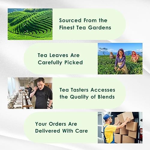 Tealeaf & Co. Sweet Hibiscus Cinnamon Green Tea with Hibiscus, Cinnamon, Stevia & Clove - Green Tea Bags with Fresh Herbs and Spices (Low Caffeine) - 100 Teabags