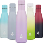 Load image into Gallery viewer, BJPKPK Insulated Water Bottle 17oz Stainless Steel Water Bottles Dishwasher Safe Reusable Metal Thermal Cold and Hot,Dreamy Purple