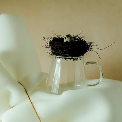 watchget Glass Coffee Carafe 600ml/20oz - Heat Resistant Borosilicate Coffee Server, Clear Pour Over Coffee Pot Maker, Ideal for Home, Office, and Café