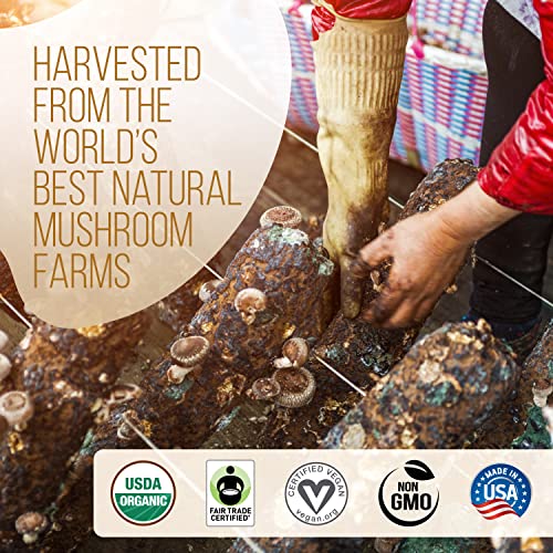 La Republica DECAF Organic Mushroom Coffee (35 Servings) with 7 Superfood Shrooms, Great Tasting Instant Mix Includes Lion's Mane, Reishi, Chaga, Cordyceps, Shiitake, Maitake, and Turkey Tail (Decaffeinated)