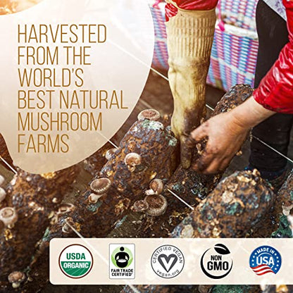 La Republica DECAF Organic Mushroom Coffee (35 Servings) with 7 Superfood Shrooms, Great Tasting Instant Mix Includes Lion's Mane, Reishi, Chaga, Cordyceps, Shiitake, Maitake, and Turkey Tail (Decaffeinated)