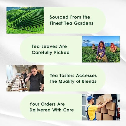 Tealeaf & Co. Turmeric Tulsi Holy Basil Green Tea - Turmeric, Tulsi & Peppermint Tea Blended with Fresh Herbs & Spices - Low Caffeine & Vegan - 100 Teabags (7.055oz/200gm)