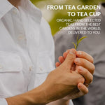 Load image into Gallery viewer, Grace Farms SHINE Wellness Organic Tea Blend (16 Pyramid Sachets) | Hydrating Tea For Skin and Detox | Rooibos, Rosehips, Hibiscus, Tulsi, and Haritaki | Fairtrade and Kosher | Gives Back 100% of Profits