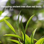 Load image into Gallery viewer, Yunnan Golden Special - Black Loose Leaf Tea - Best Chinese Black Tea - Organically Grown - Perfect Morning Tea - 150g (5.3-ounce)