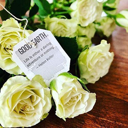 Good Earth Green Tea, Sweet and Spicy, Matcha Maker, 18 Count, Pack of 6