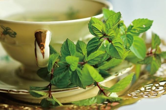 Damtuh Peppermint Tea – 100% Pure Peppermint, Caffeine-Free Herbal Tea, 10 Tea Bags (1g each)