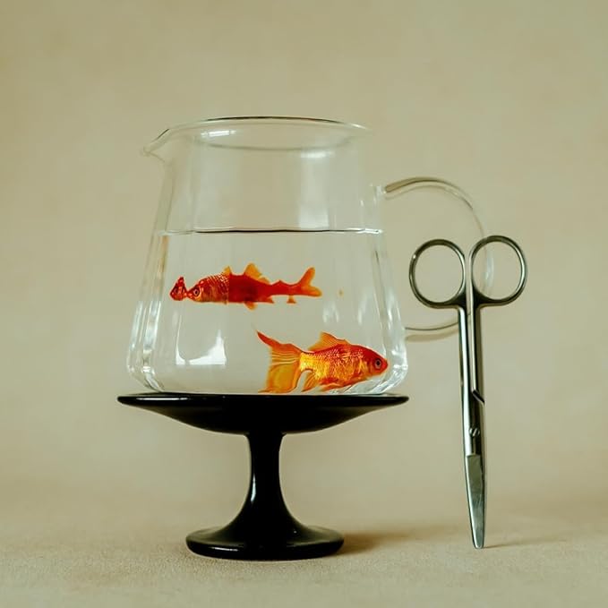 watchget Glass Coffee Carafe 600ml/20oz - Heat Resistant Borosilicate Coffee Server, Clear Pour Over Coffee Pot Maker, Ideal for Home, Office, and Café