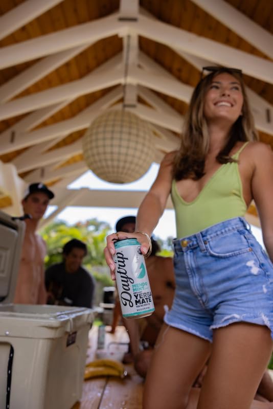 Daytrip Organic Yerba Mate Energy Drink- Clean, Plant Based Caffeine (200mg) with Adaptogenic Mushrooms and Green Tea for Focus and Brain Fog - Low Calorie, Low Sugar (12 Pack Case)