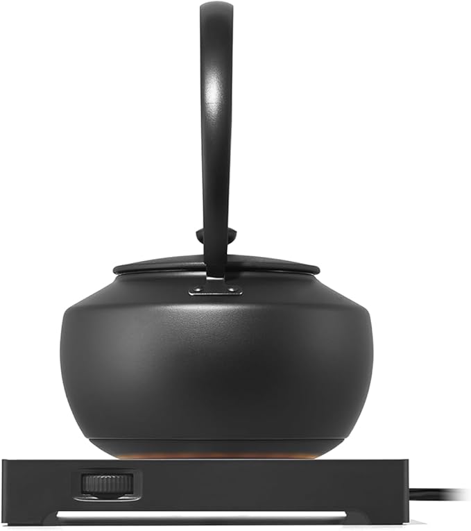 BALMUDA MoonKettle | Electric Kettle with Temp Control (122°F - 212°F) | HOLD & Keep Warm | 900ml (30 fl oz) | Soothing Ambient Light & Sound | Precision Pour Spout | Black