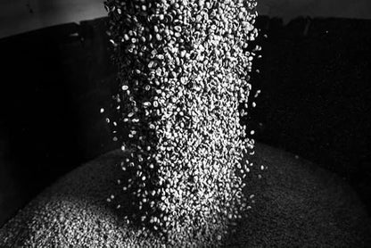 Bristot 100% Arabica LUNGO Capsules compatible with Lavazza Blue* Machines | Medium Roast | 1050 Count