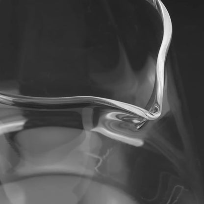 Glass Coffee Pot Server, 13.5oz Glass Coffee Carafe Manual Pour Over Coffee Maker Teapot Clear Water Kettle Pitcher for Brewing Coffee, Milk, Tea (13.5oz/400ml)