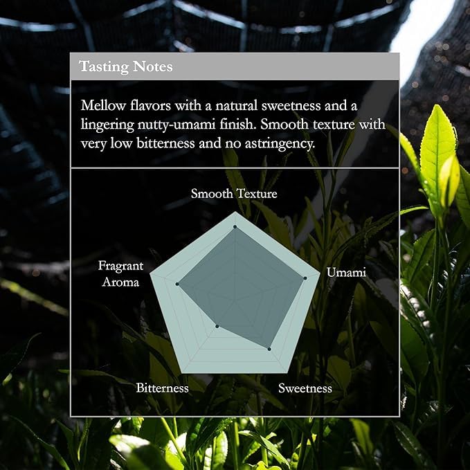 Naoki Matcha Chiran Harvest Masters Collection Matcha – Authentic Japanese Ceremonial Grade Matcha Green Tea Powder from Kagoshima, Japan (40g / 1.4oz)