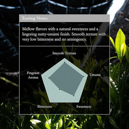 Naoki Matcha Chiran Harvest Masters Collection Matcha – Authentic Japanese Ceremonial Grade Matcha Green Tea Powder from Kagoshima, Japan (40g / 1.4oz)