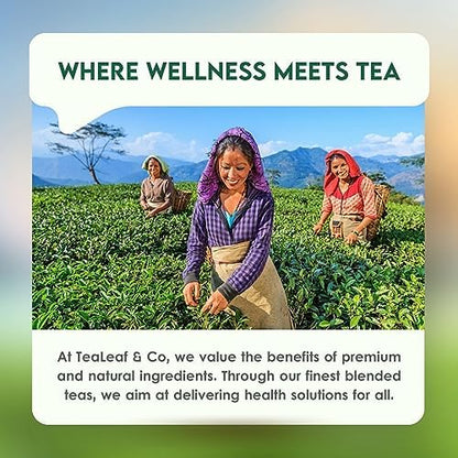 Tealeaf & Co. Sweet Hibiscus Cinnamon Green Tea with Hibiscus, Cinnamon, Stevia & Clove - Green Tea Bags with Fresh Herbs and Spices (Low Caffeine) - 100 Teabags