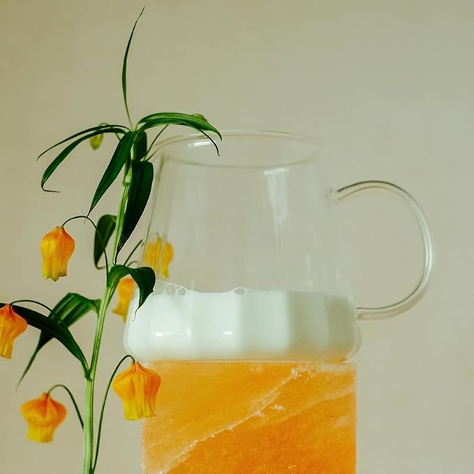 watchget Glass Coffee Carafe 600ml/20oz - Heat Resistant Borosilicate Coffee Server, Clear Pour Over Coffee Pot Maker, Ideal for Home, Office, and Café