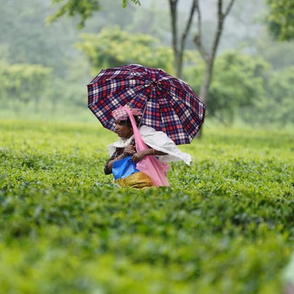 Grace Farms Organic Classic Chai Black Tea, 50 Sachet Pouch | Ginger & Spices | Fairtrade & Kosher |Gives Back 100% of Profits