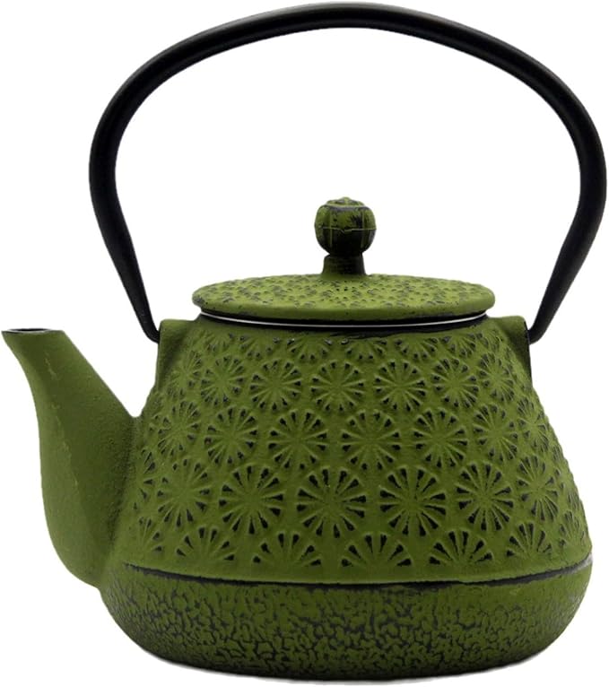 Cast Iron Teapot, 20.3oz Enameled Interior, Stainless Steel Infuser for Loose Tea (Green Gerbera Pattern)