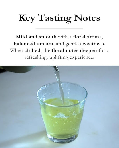 Emptea Sencha Japanese Green Tea Loose Leaf - Asamushi Light Steamed First Harvest Tea Masters Blend Oragnic Unsweetened Japanese Green Tea 2.82 oz (80g)