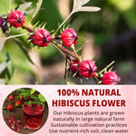 Load image into Gallery viewer, VIDA FARM 75 Hibiscus Tea Bags, Natural Dried Hibiscus Flowers Tea Bags, Roselle Hibiscus Sorrel Tea Jamaica Roselle Tea, No Sugar, No Caffeine, No Gluten