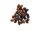 Load image into Gallery viewer, Whole Rosehips | Wild Harvest from Eastern Europe