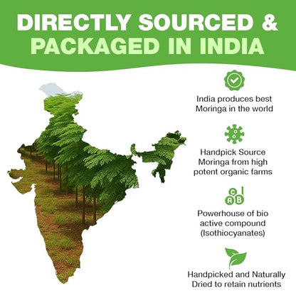 HANDPICK, Organic Moringa Tea Bags (100 Count), Pure Moringa Leaves | Authentic Indian Origin | Caffeine Free, Non GMO | Earthy, Light & Refreshing | Round Eco-conscious Teabags