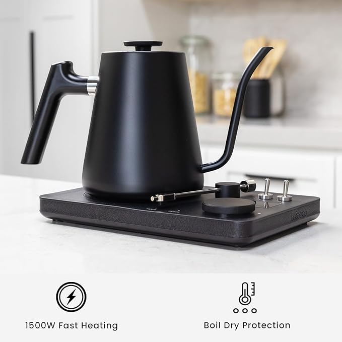DJ Electric Gooseneck Kettle - Pour Over Coffee & Tea - Turntable Design - Water Boiler - Quick Heating & Temperature Control - Black