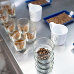 Load image into Gallery viewer, Verena Street 11 Ounce Ground, Swiss Water Process Decaf Coffee, Sunday Drive Decaffeinated, Medium Roast Rainforest Alliance Certified Arabica Coffee