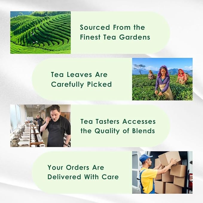 Tealeaf & Co. Classic Green Tea Loose Leaf - 100% Organic Green Tea - Contains Low Caffeine - Upto 50 Servings - Gluten Free (3.52oz/100gm)